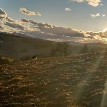 Za Siodma Gora شقة *